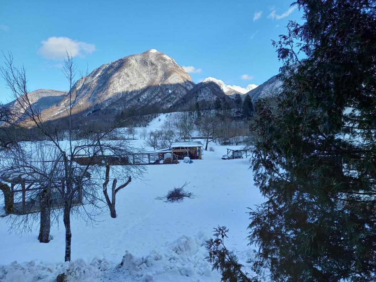 Guest House Vila Korosec Bovec Exterior foto